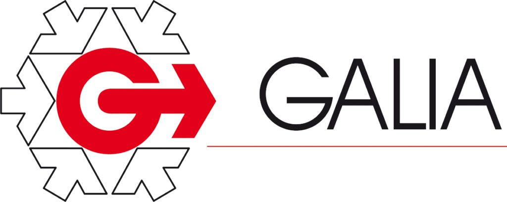 Formation Galia Audit MMOG/LE